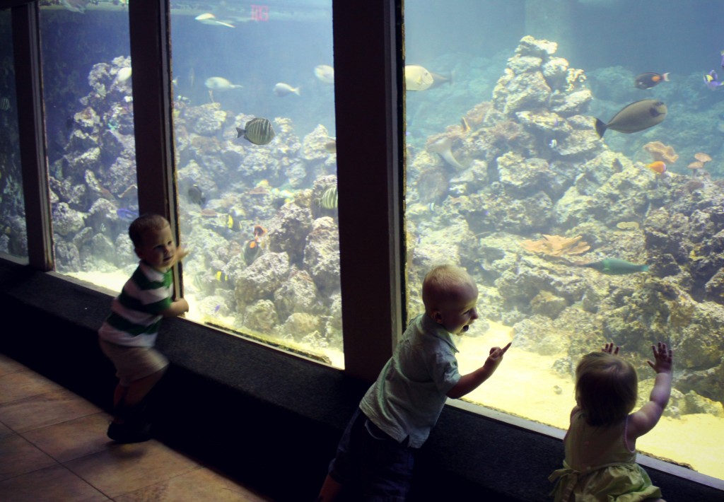 kids at the aquarium
