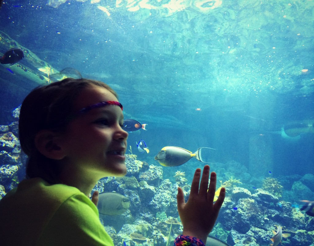 maya at the aquarium