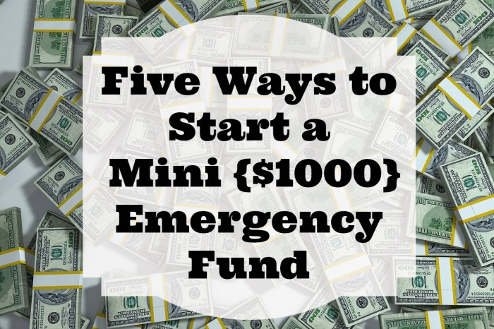 Five Ways to Start a Mini {$1000} Emergency Fund