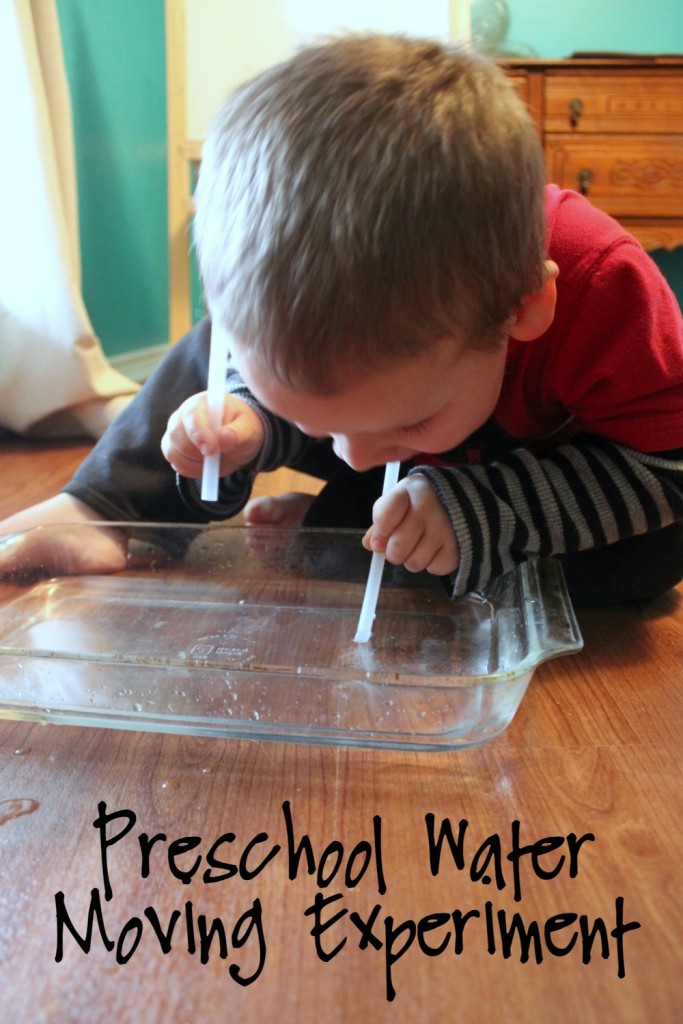 Preschool Water Moving Experiment
