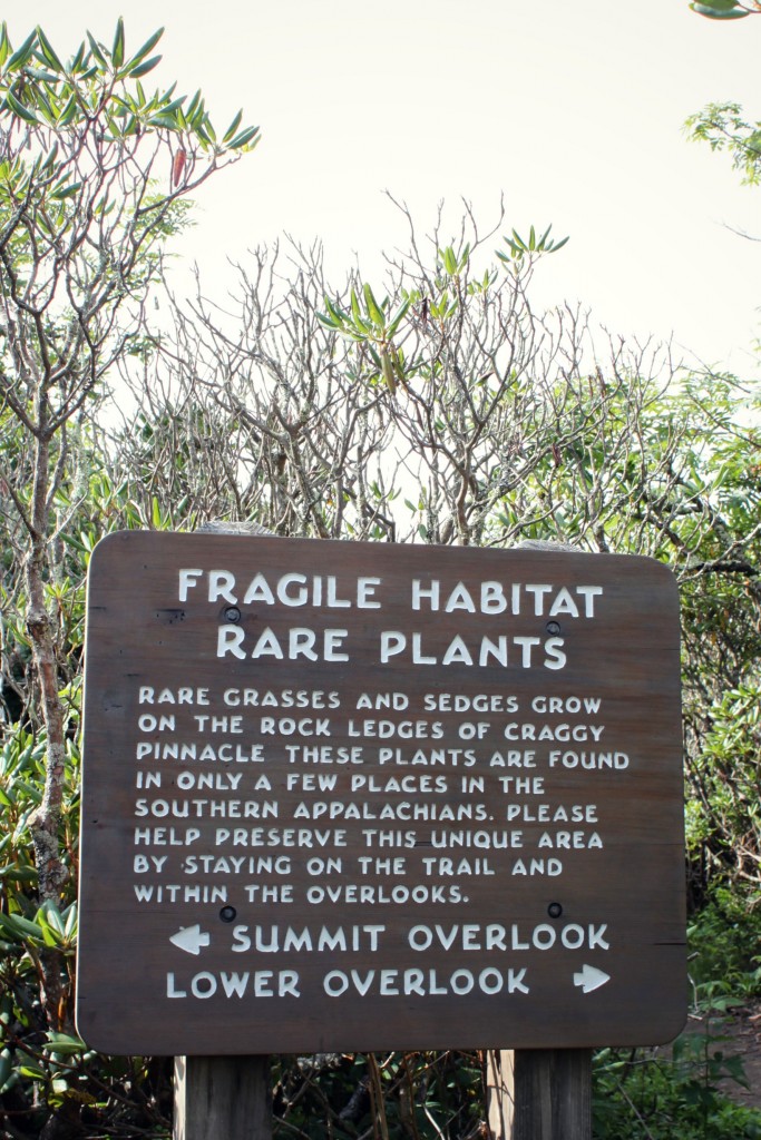 hiking in a fragile habitat